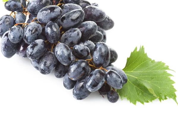 Свежесть винограда — стоковое фото