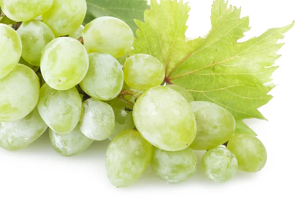 Frescura uva — Foto de Stock