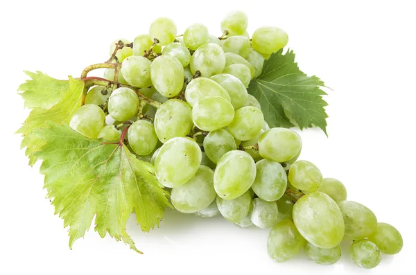 Freshness grape — Stock Photo, Image