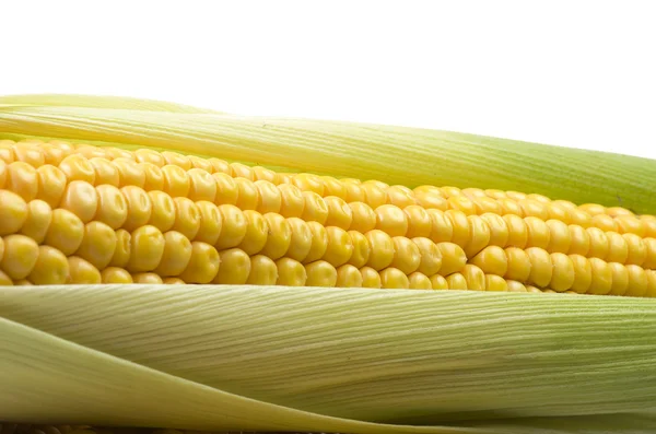 Fresh corn cobs — Stock Photo, Image