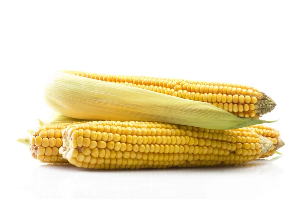 Fresh corn cobs close — Stock Photo, Image