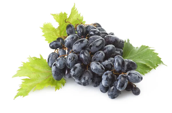 Grape — Stock Photo, Image