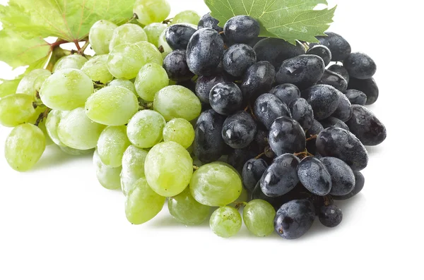 Grape — Stock Photo, Image