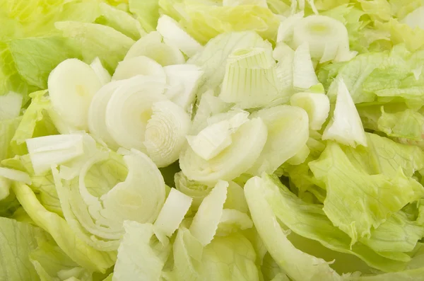 Salada de cebola e iceberg — Fotografia de Stock