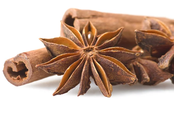 Cinnamon stick and star anise — Stock Photo, Image