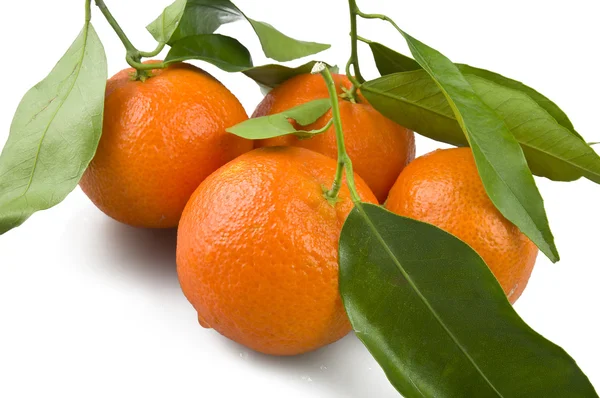 Tangerine — Stockfoto