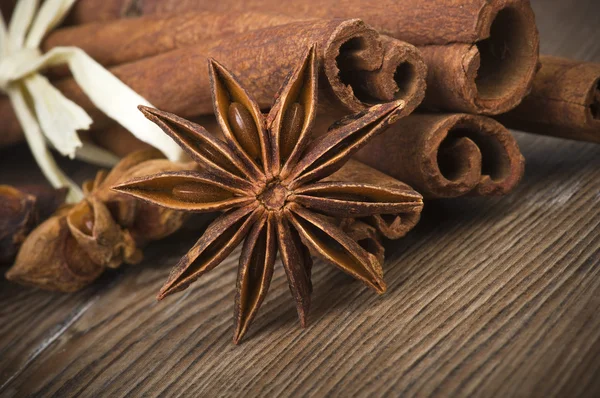 Anise — Stock Photo, Image