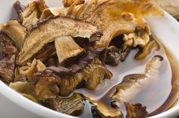 Porcini mushrooms — Stock Photo, Image