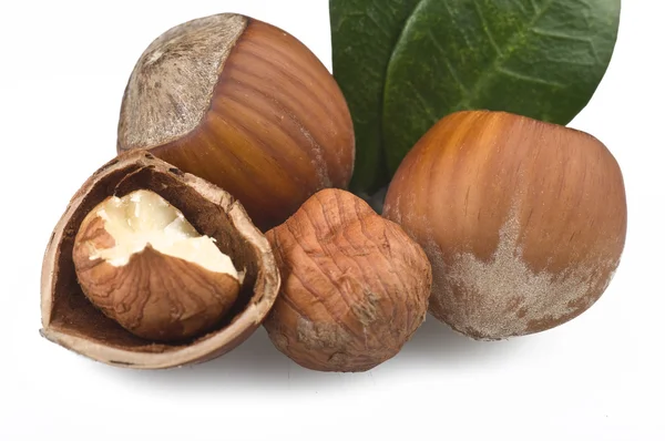 Hazelnuts — Stock Photo, Image