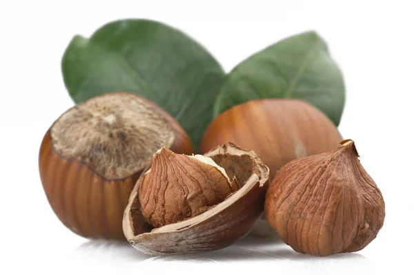 Hazelnuts — Stock Photo, Image