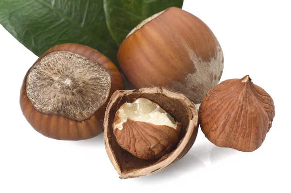 Hazelnuts — Stock Photo, Image