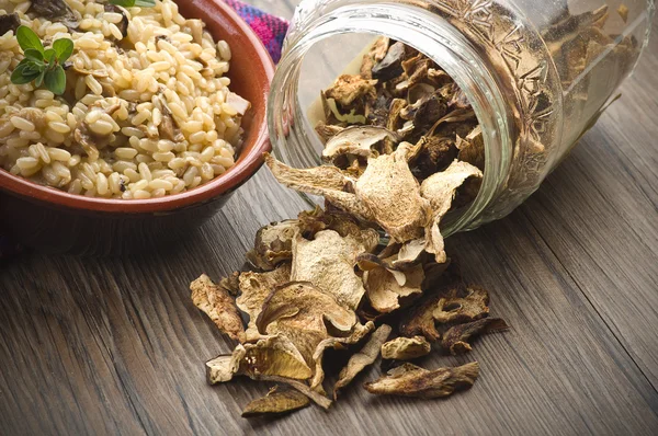 Rice and dried porcini mushrooms — Stock Photo, Image