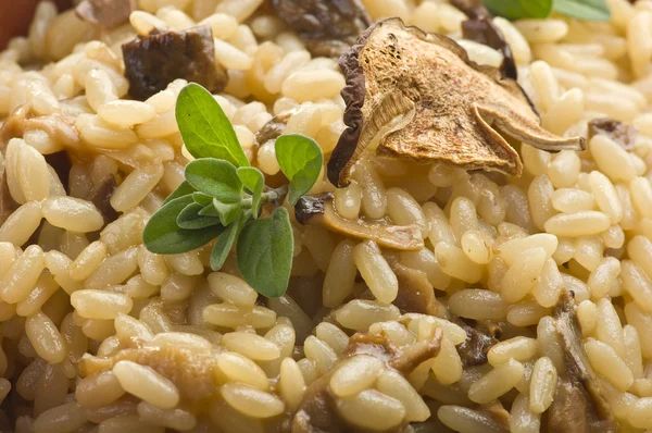 쌀과 말린된 porcini 버섯 — 스톡 사진