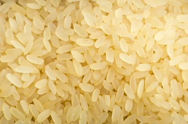 未经烹煮的米饭 — 图库照片