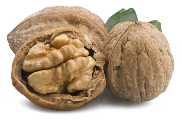 Nueces — Foto de Stock