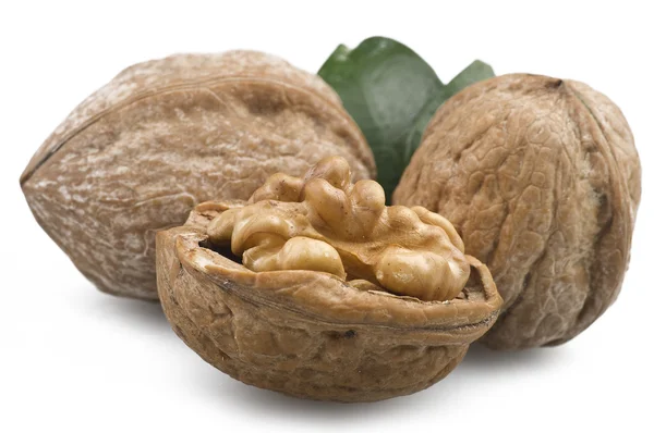 Nueces — Foto de Stock