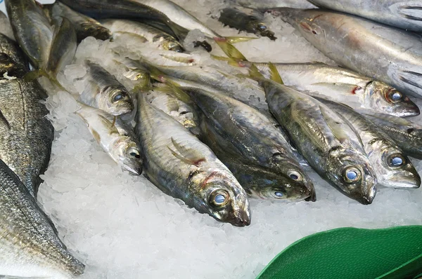 Seafood — Stock Photo, Image