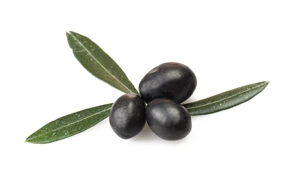 Olive — Stock Photo, Image