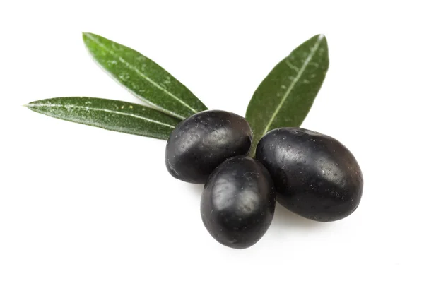 Olive — Stock Photo, Image