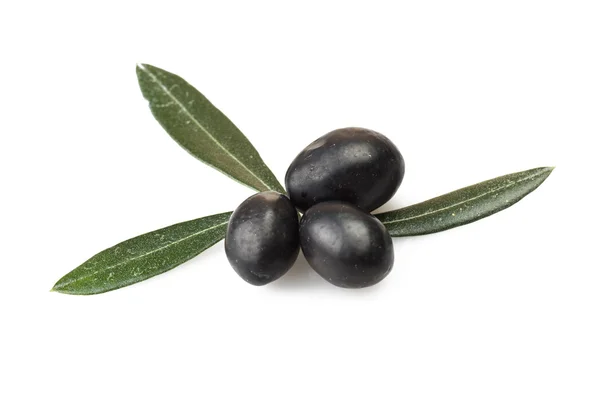 Olives — Photo