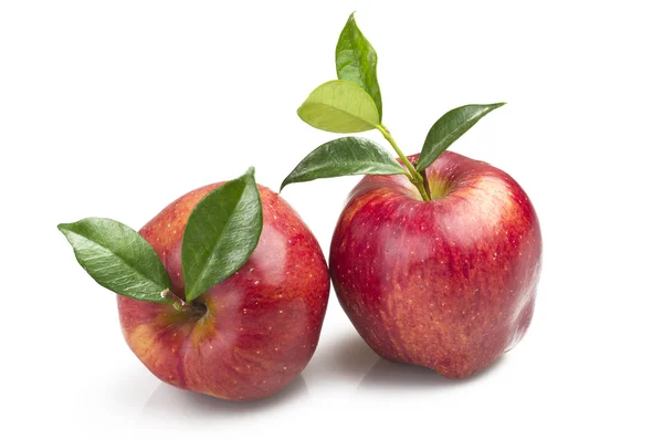 Red apple — Stock Photo, Image