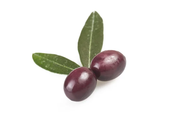 Aceituna — Foto de Stock