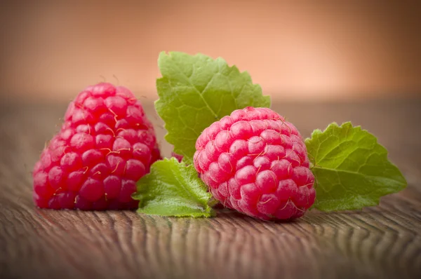 Framboise fraîche — Photo