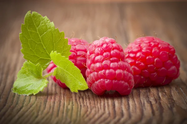 Framboise fraîche — Photo