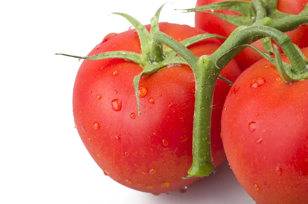 Frische Tomaten — Stockfoto