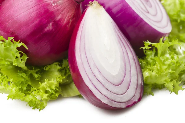 Red Onion rings — Stock Photo, Image