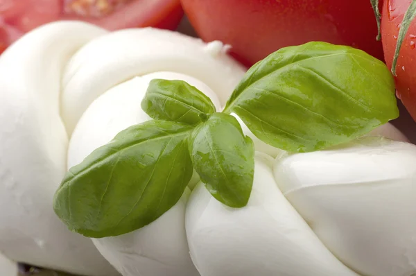 Mozzarella tomatoes and fresh salad — Stock Photo, Image