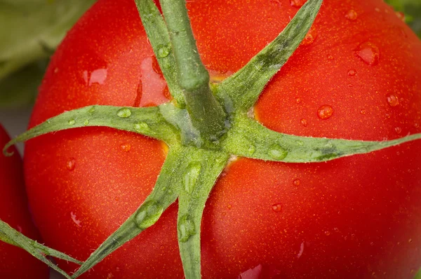 Tomaten und Tropfen — Stockfoto