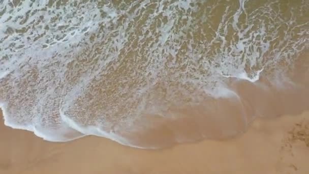 Vue Dessus Jeune Beau Couple Marche Sur Plage Portugais — Video