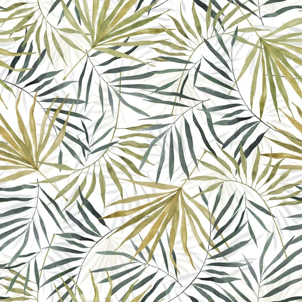 Fondo tropical de verano verde con hojas de palma exóticas. Patrón inconsútil del árbol de la selva paradisíaca. Sobre fondo blanco. Para trajes de baño de playa de verano, textil, papel pintado, papel de envolver, textura de diseño. —  Fotos de Stock