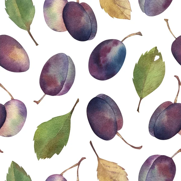 Prunes motif sans couture. Aquarelle Illustrations botaniques dessinées à la main fruits violets et feuilles vertes. Isolé sur fond blanc. Nourriture, saison estivale. Pour papier, emballage, tissu, design, cartes. — Photo