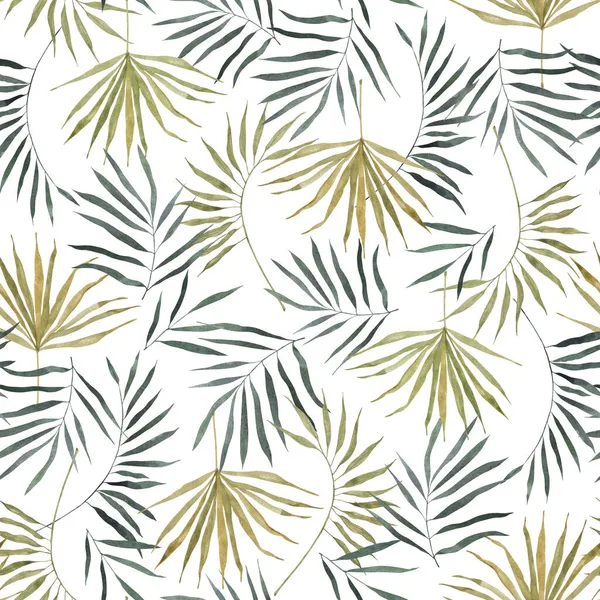 Egzotikus pálmafák zökkenőmentes mintázata. Zöld levelek fehér háttérrel. Trópusi levél. Zöld nyári trópusi háttér egzotikus pálmalevelek. — Stock Fotó