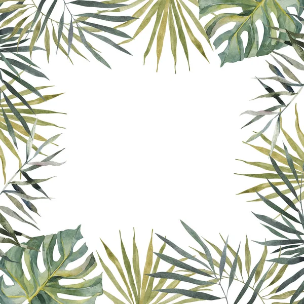 Літній прапор ручного малювання - Strelitzia, plumeria, monstera, пальмовий листок. На білому тлі з простором для тексту. Для купальників, карт на день народження, вечірки, постеру, домашнього декору, обкладинки — стокове фото