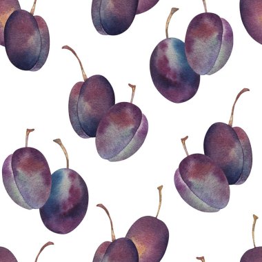 Suluboya eriklerin pürüzsüz deseni. El çizimi botanik çizimleri. Mor meyveli çizim. Beyaz arka planda izole edilmiş. Çarşaf, keten, ambalaj kağıdı, duvar kağıdı, tekstil için..