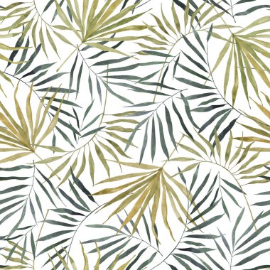 Egzotik palmiye ağaçlarının kusursuz deseni. Beyaz arka planda yeşil yapraklar. Tropik yeşil yaz ormanı. Yaz için plaj mayosu, tekstil, duvar kağıdı, ambalaj kağıdı, tasarım dokusu.