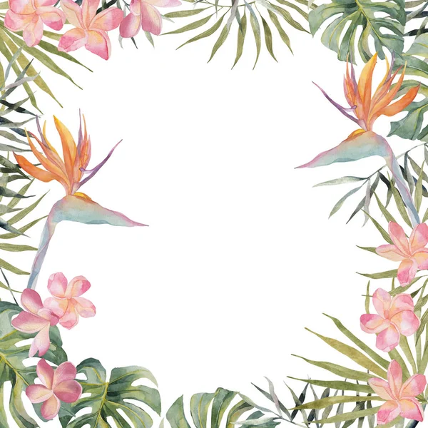 Hand drawing watercolor summer banner - Strelitzia, plumeria, monstera, palm leaf. On white background with space for text. For scrapbooking, cards for birthday, party, textile, design