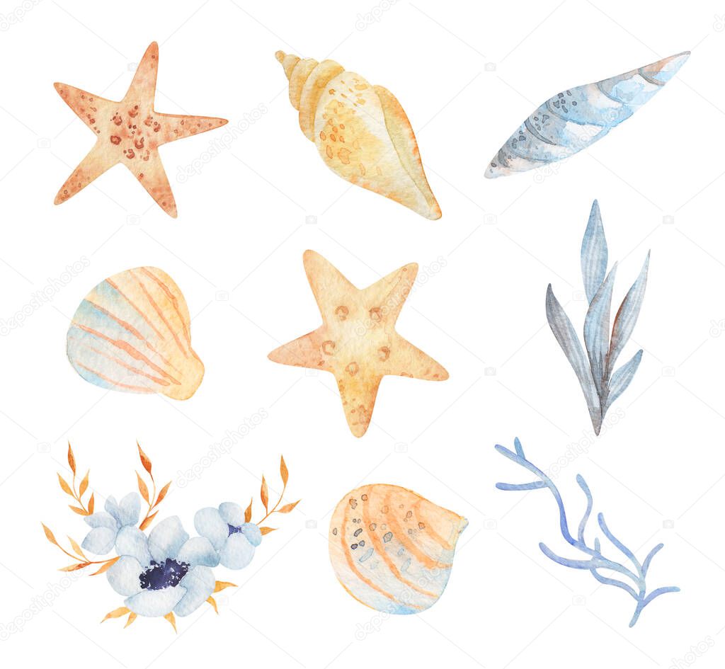 Watercolor sea set of starfish, seashells, conch, peonies on an isolated white background. underwater world hand drawing, summer clipart. For Printing on postcards, packaging, fabric, design, textile