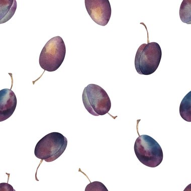 Suluboya eriklerin pürüzsüz deseni. El çizimi botanik çizimleri. Mor meyveli çizim. Beyaz arka planda izole edilmiş. Mutfak tekstil, çarşaf, keten, ambalaj kağıdı, duvar kağıdı, tekstil için.