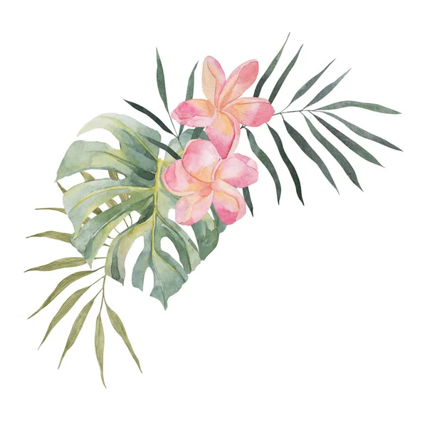 Plumeria Monstera Palmblatt Aquarell Handgezeichnete Botanische Illustrationen Komposition Vereinzelt Auf — Stockfoto