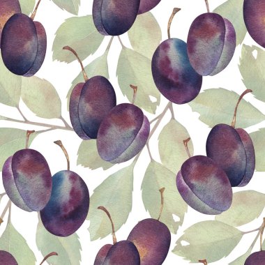 Suluboya eriklerin dalları pürüzsüz desenler. El çizimi botanik çizimleri. Mor meyveli çizim. Beyaz arka planda izole edilmiş. Çarşaf, keten, ambalaj kağıdı, duvar kağıdı, tekstil için.