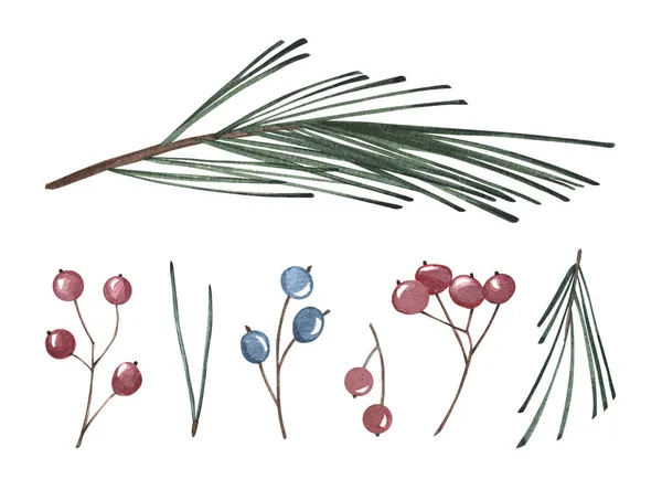 Aquarell Zweige Mit Beeren Und Nadelblättern Hand Ertränkt Weihnachtsgrün Auf — Stockfoto