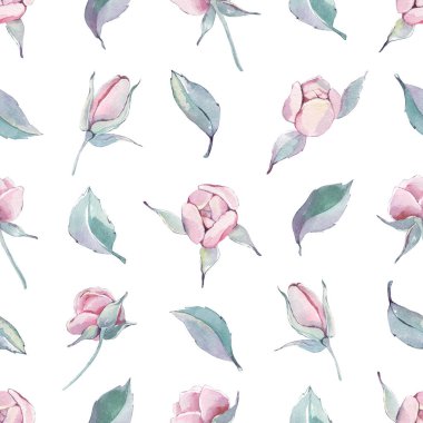 Dalları pürüzsüz ve izole edilmiş eski pembe şakayıklar. Suluboya el, beyaz bir arkaplana çiçek resmi çizdi. Annem için, doğum günü, sevgililer günü kartı, çarşaf, ambalaj.