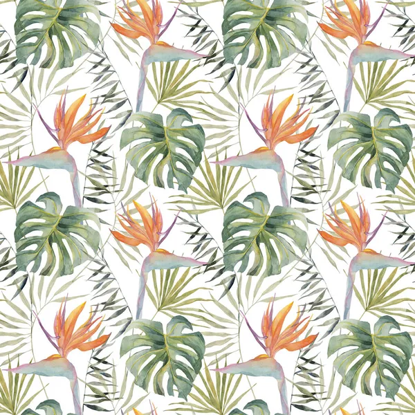 Strelitzia, palmera, hojas de monstera. Patrón tropical exótico brillante sin costura. Impresión botánica hecha a mano en acuarela. Sobre fondo blanco. Para textiles de playa de verano, tarjetas para cumpleaños, fiesta —  Fotos de Stock