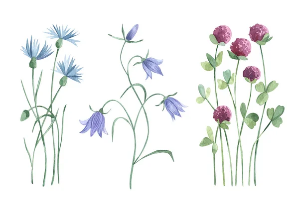 Aquarel botanische collectie wilde bloemen en tuinplanten. Handgetekende bladeren, roze bloemen, klaver, kruiden en natuurlijke elementen. Voor verjaardag, trouwkaart, uitnodiging, groet, moederdag. — Stockfoto