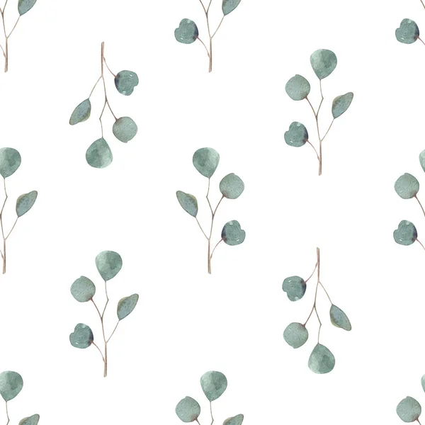 Patrón sin costuras de Navidad con hojas verdes de eucalipto. Ilustración hecha a mano. Botánico sobre fondo blanco. para textiles, tarjetas de felicitación, papel pintado, papeles de embalaje, vacaciones. Diseño floral. — Foto de Stock