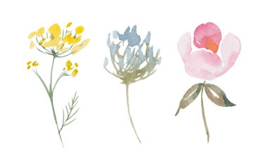 Suluboya botanik koleksiyonu yabani çiçekler ve bahçe bitkileri. El yapımı yapraklar, pembe çiçekler, gül dalları, otlar ve doğal elementler. Doğum günü, düğün kartı, davetiye, selamlama, Anneler Günü için.